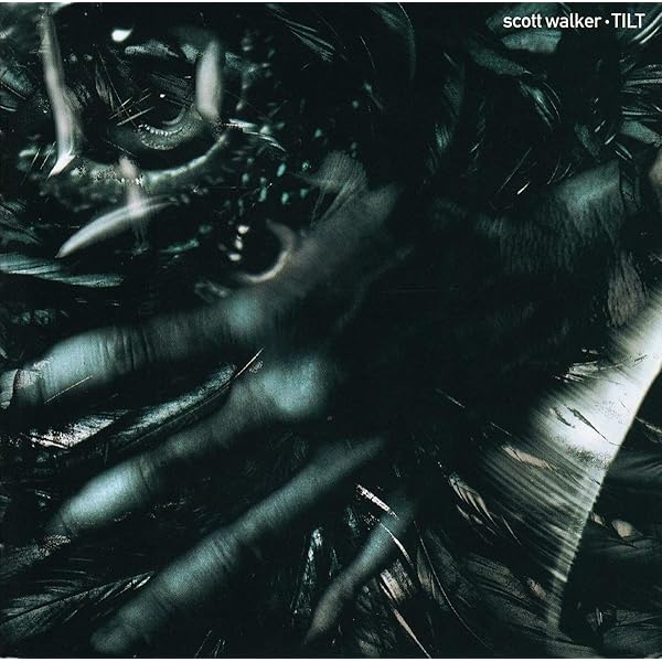 英2LP Scott Walker Bish Bosch CAD3220 4AD /00520 WALKER,SCOTT - Bish Bosch - Amazon.com Music